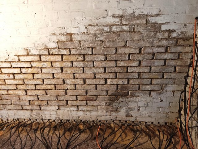 Freigelegte Ziegelwand mit Bohrlöchern und eingeführten Schläuchen im Keller