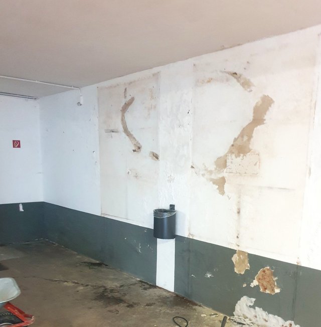 Abgeplatzte Wandbeschichtung und Feuchtigkeitsspuren an Kellerwand