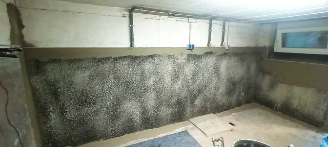 Schwarzer Schimmelbefall an Kellerwand, Steckdose und Leitungen darüber sichtbar