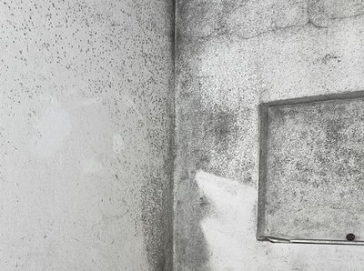 Schimmel im Keller Mehrfamilienhaus Eisingen