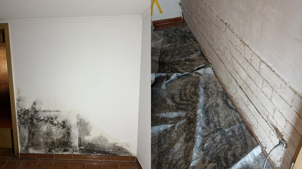 Schwarzer Schimmelbefall am unteren Wandbereich neben Tür, Nahaufnahme.