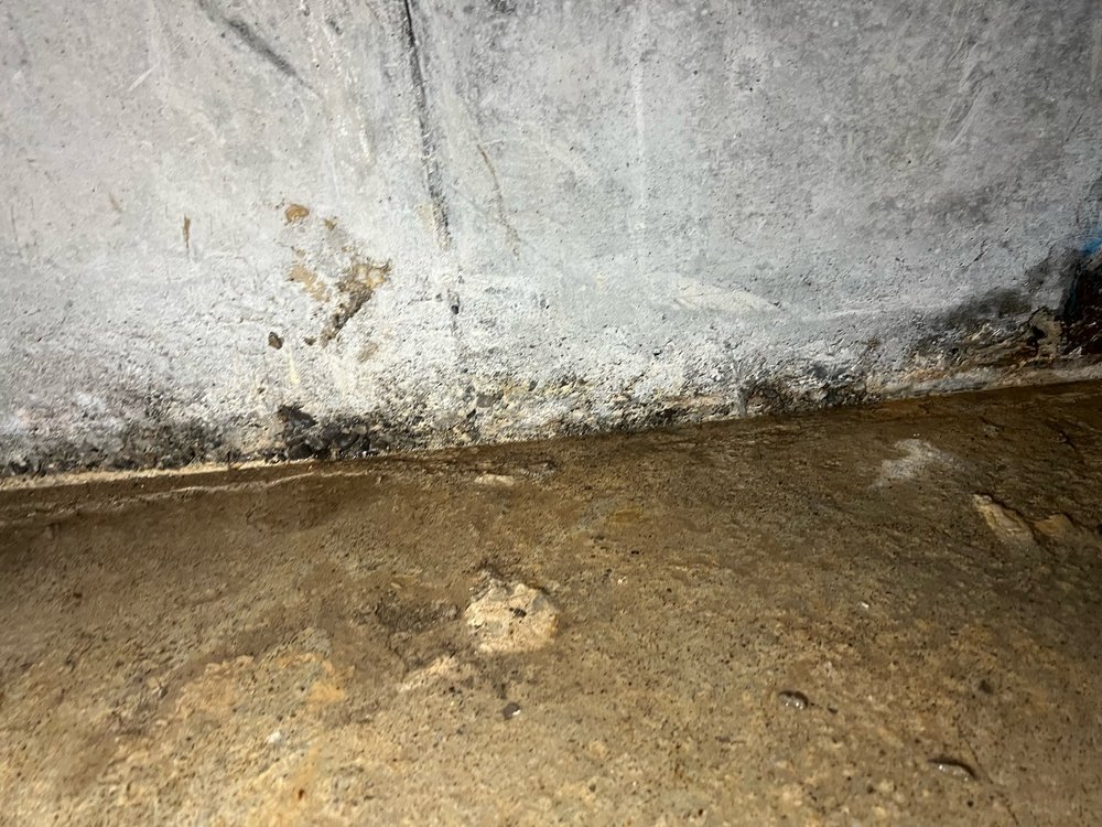 Fleckige Betonwand mit Ausblühungen und dunklem Belag am Bodenanschluss