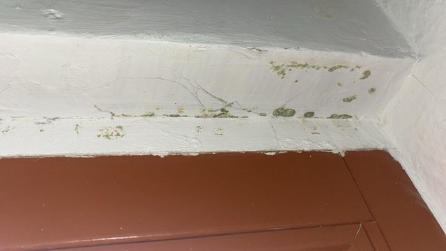 Grünliche Flecken und Risse an weißer Zimmerecke über braunem Fensterrahmen.