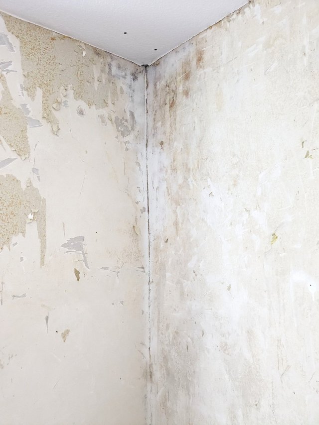 Verschmutzte Zimmerecke mit dunklen Flecken und abblätternder Wandbeschichtung