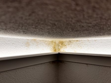 Gelbliche Flecken an Raumecke unter Deckenleiste