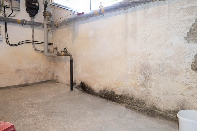 Feuchte Kellerwand mit dunklen Verfärbungen und beschädigter Oberfläche