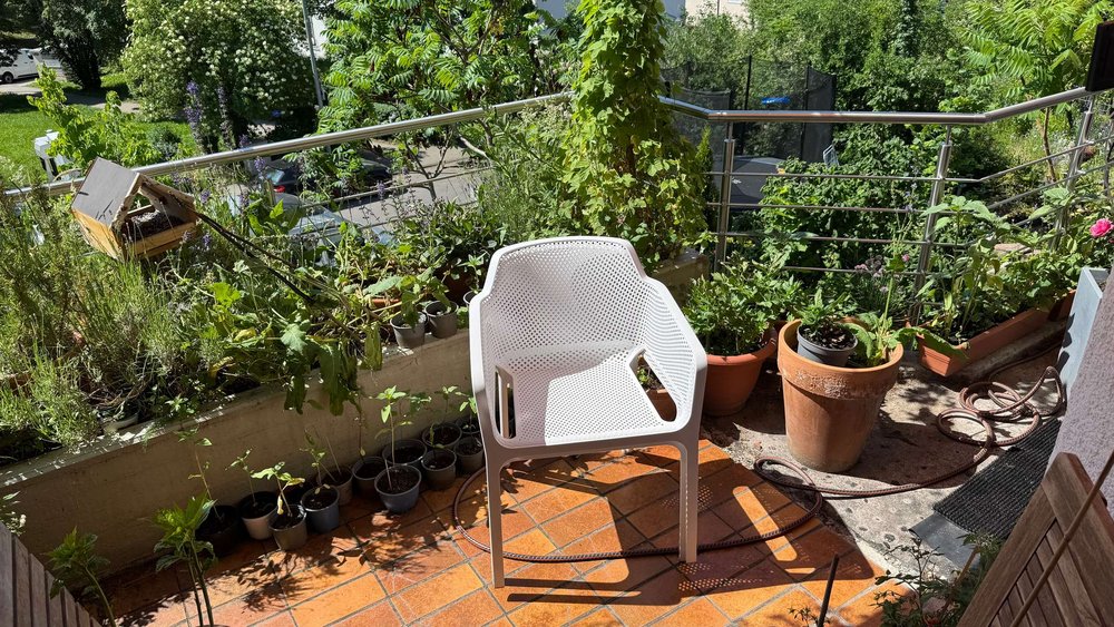 Sonniger Balkon mit weißem Plastikstuhl, Pflanzkübeln, Rankpflanzen und Gartenschlauch