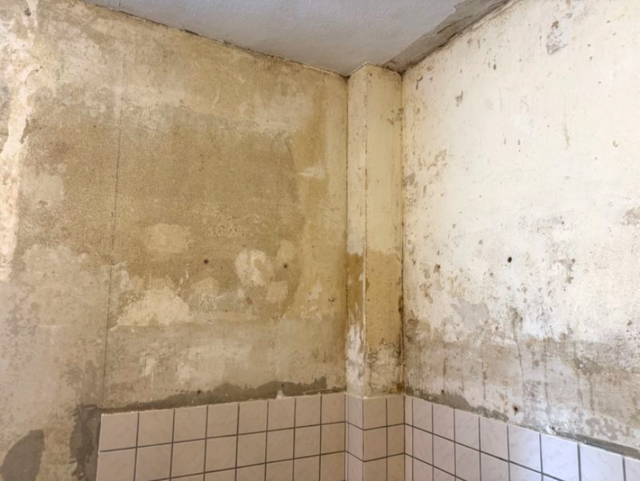 Feuchte Wandflächen mit Flecken und beschädigtem Putz über Fliesensockel