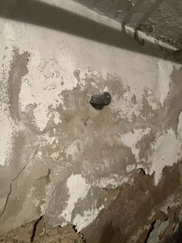 Abplatzender weißer Anstrich an Kellerwand, grauer Lüftungsstopfen im Bohrloch