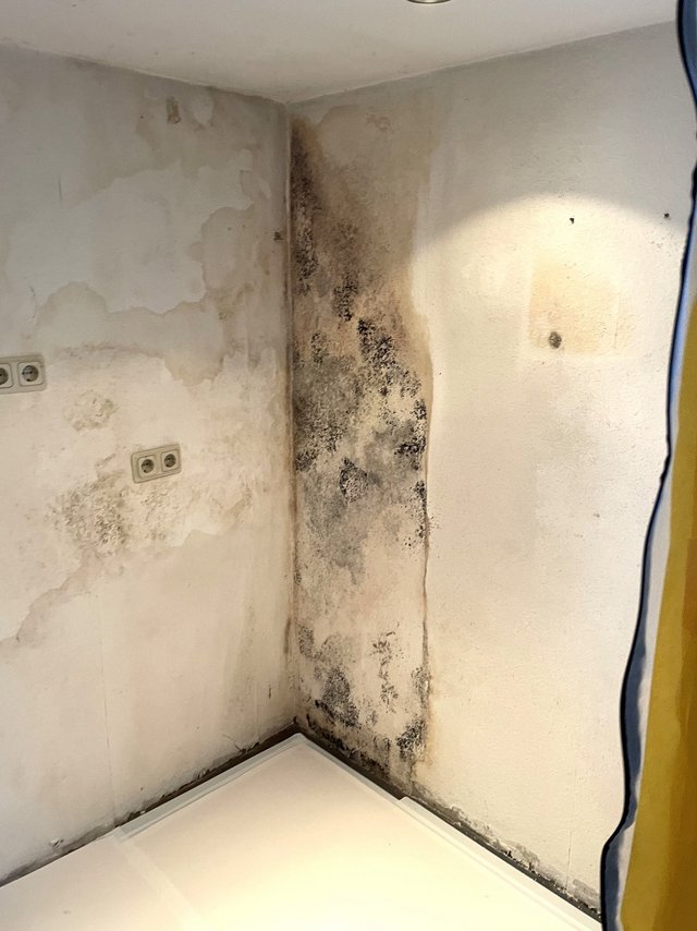 Schimmelbefall an Zimmerecke, dunkle Flecken auf heller Wand
