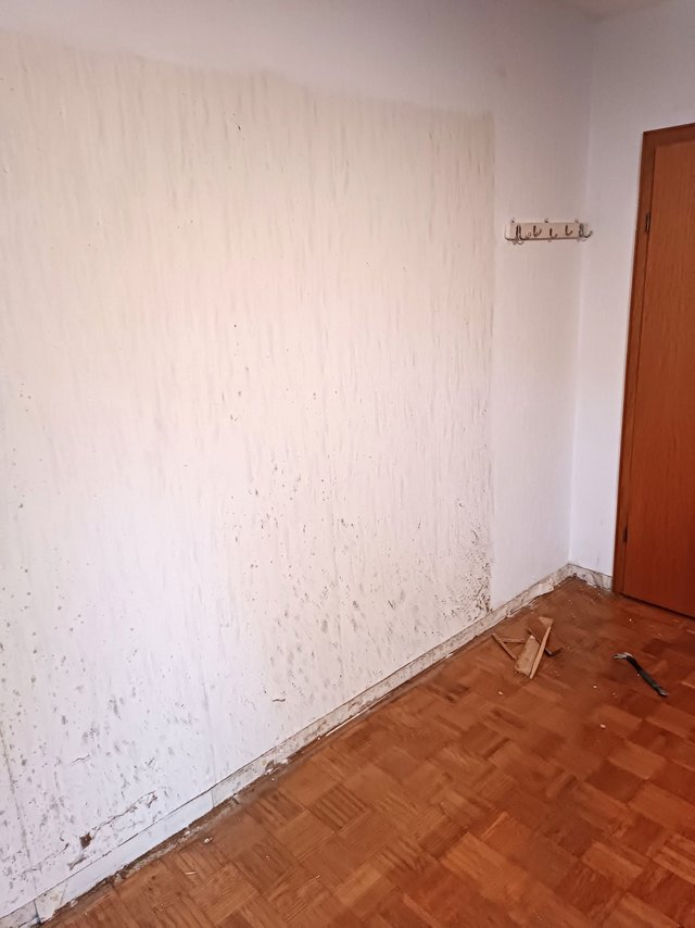 Fleckige weiße Kellerwand mit dunklen Verfärbungen am Sockel, Holzparkett und Tür.