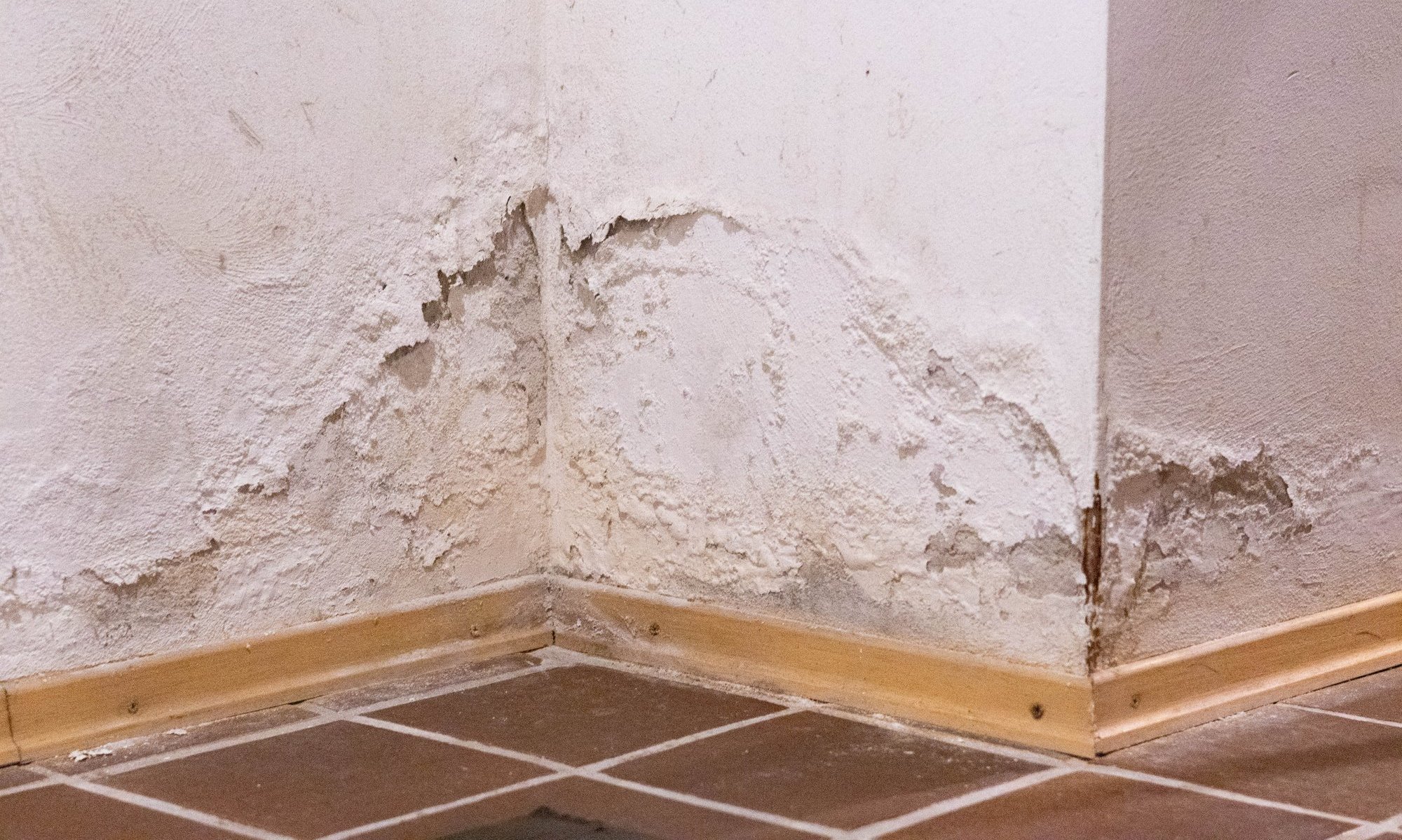 Abgeplatzte Wandbeschichtung und Ausblühungen an Zimmerecke über Fliesenboden