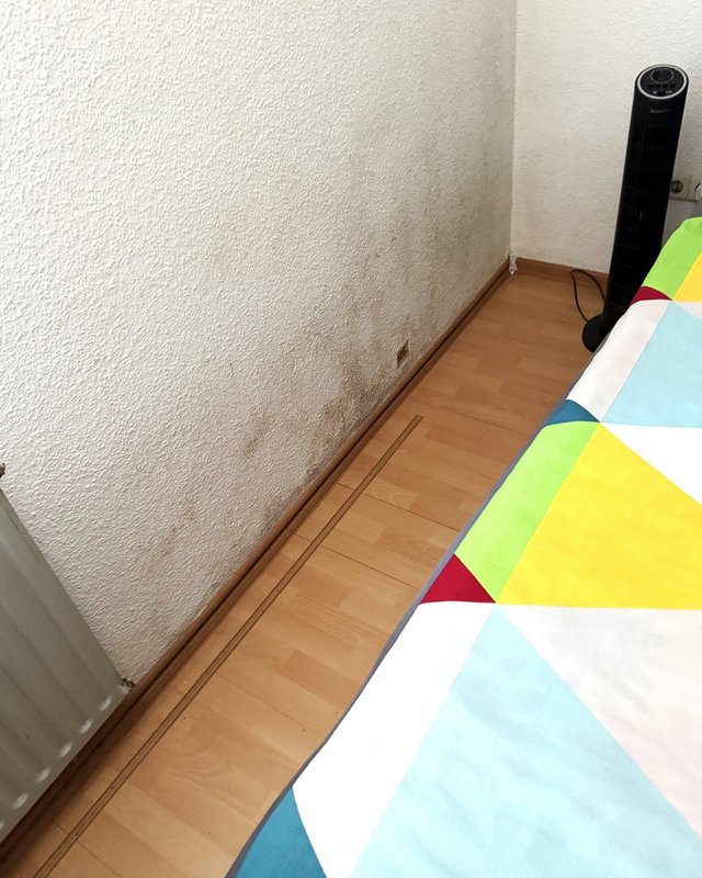 Dunkle Flecken an strukturierter Zimmerwand neben Bett
