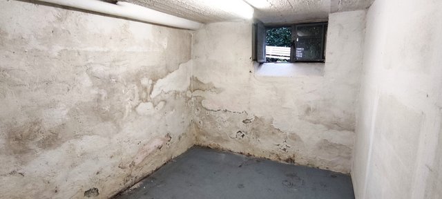Feuchte Kellerwand mit Abplatzungen und Verfärbungen, kleines Fenster oben.