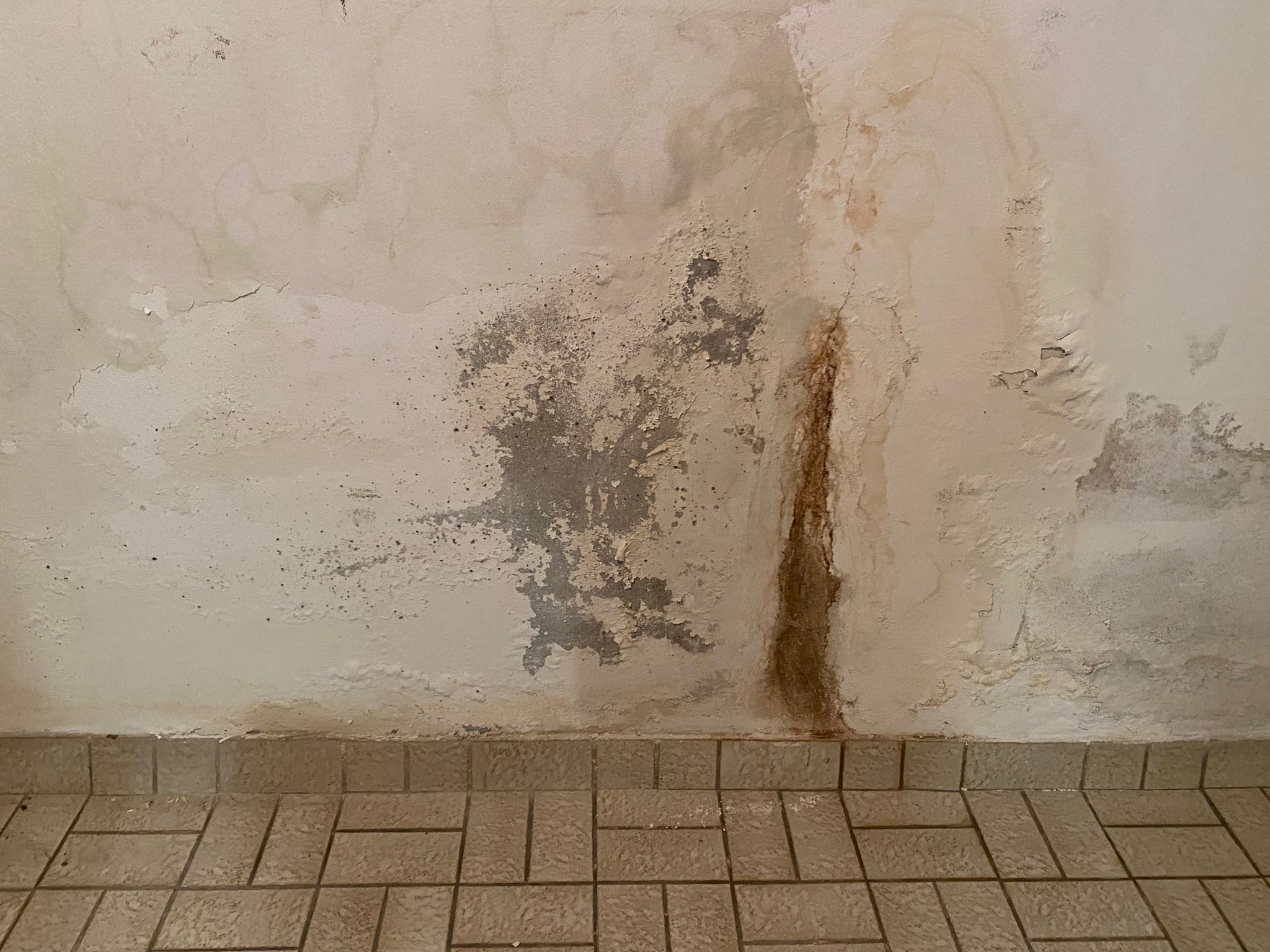 Verfärbte, bröckelnde Wand mit dunklen Schadstellen