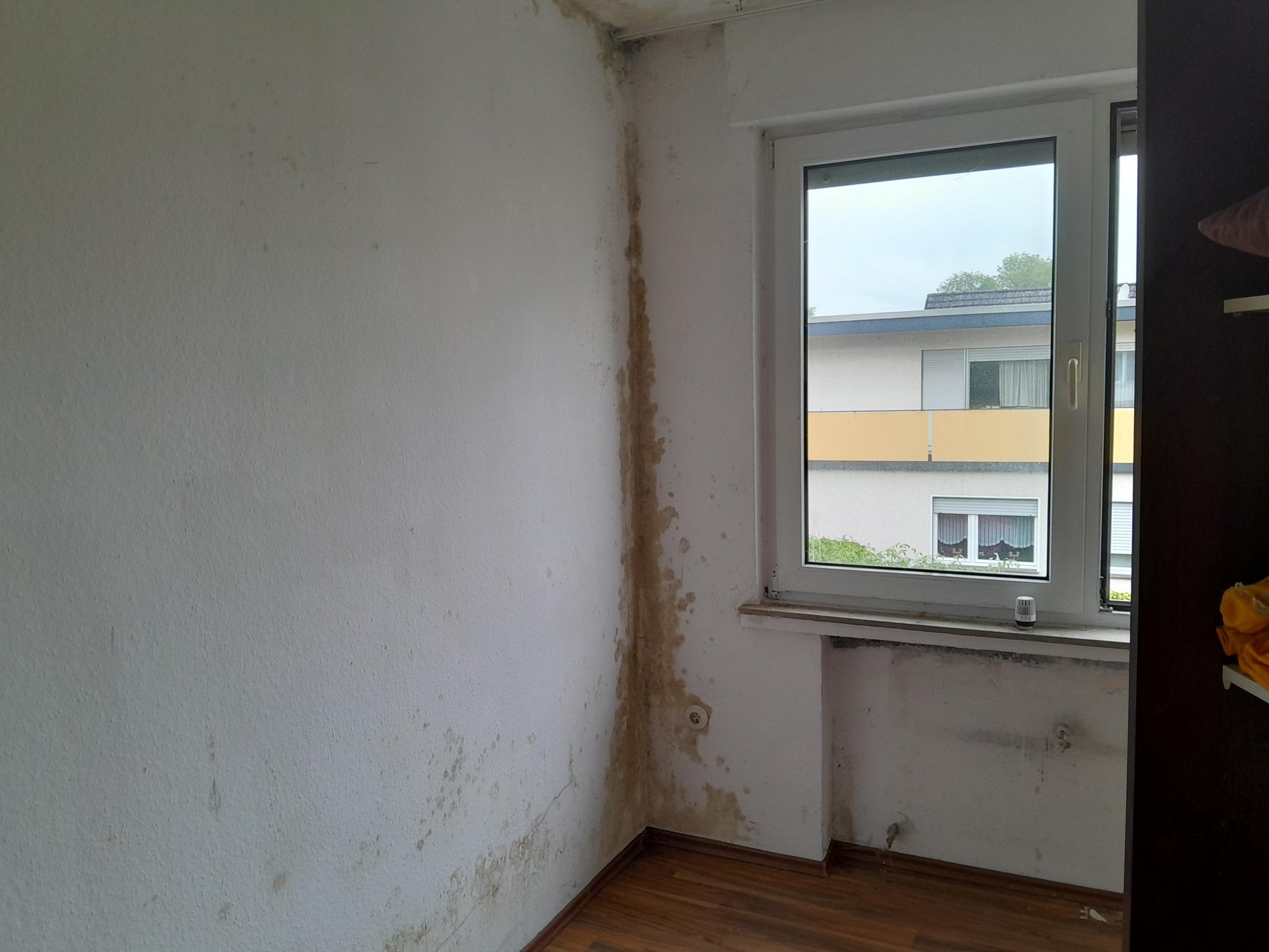 Braune Feuchteflecken und abblätternde Farbe an Zimmerecke neben Fenster