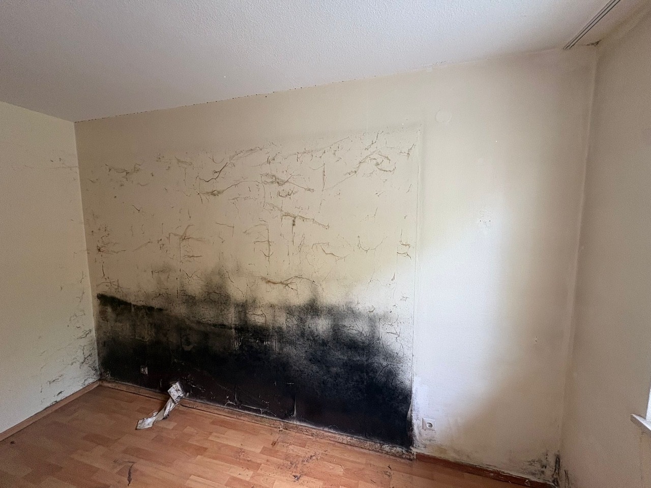 Stark verschmutzte Zimmerwand mit großflächigen schwarzen Flecken und Rissen im unteren Bereich