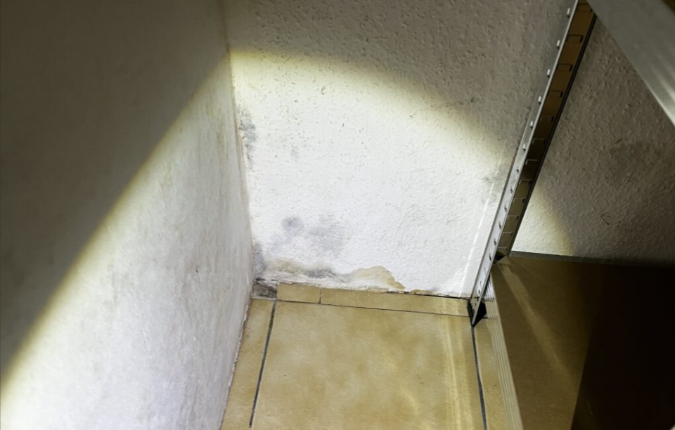 Feuchte Wand mit dunklen Flecken in Zimmerecke neben Regal