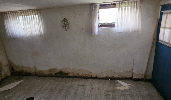 Feuchte Kellerwand mit dunklen Flecken und abblätterndem Bodenbelag