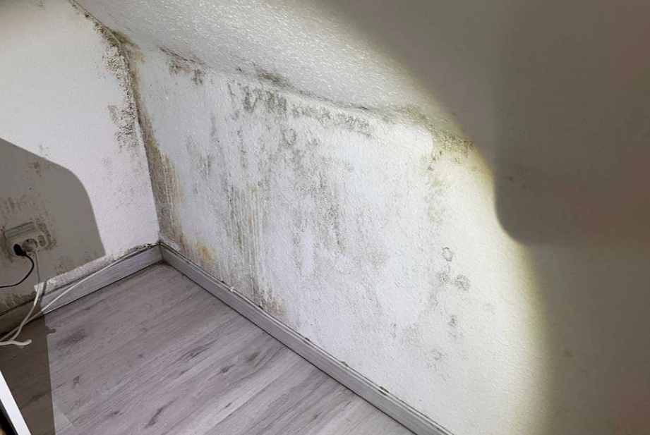 Schimmelbefall an Zimmerecke über Sockelleiste, Nahaufnahme