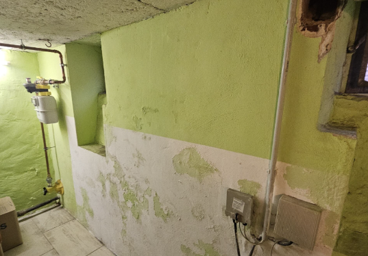 Abplatzender grüner Anstrich und Ausblühungen an Kellerwand neben Rohrleitungen