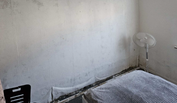 Fleckige Zimmerecke mit dunklen Belägen am Wand-Boden-Anschluss, Bett und Standventilator