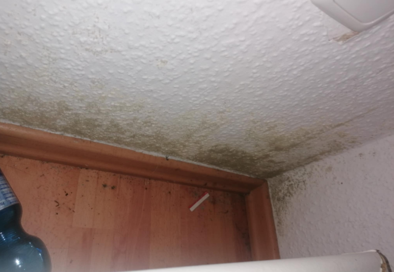 Schimmelbefall an Zimmerdecke und Wandecke über Holztür
