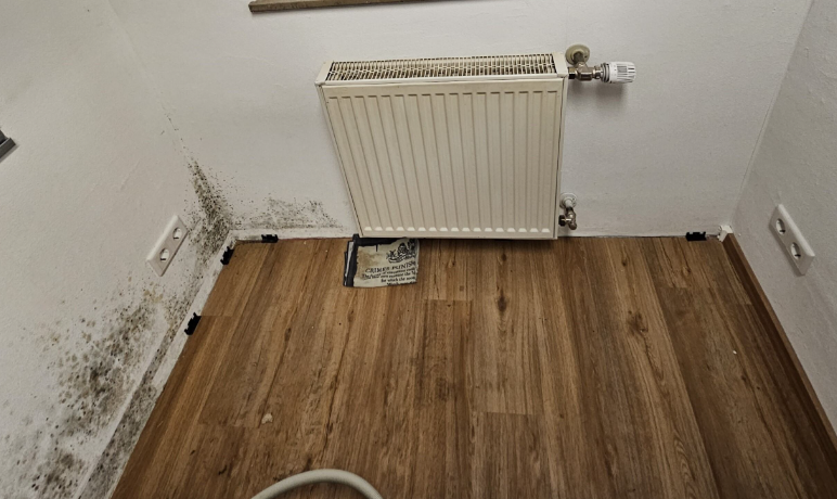 Schimmelbefall an Wand unter Heizkörper über Holzboden