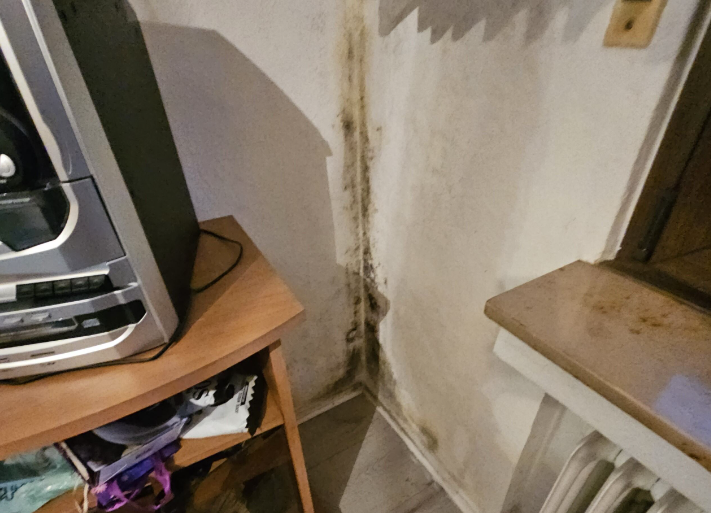 Schwarzer Schimmelbefall an Zimmerecke neben Fensterbank, Nahaufnahme