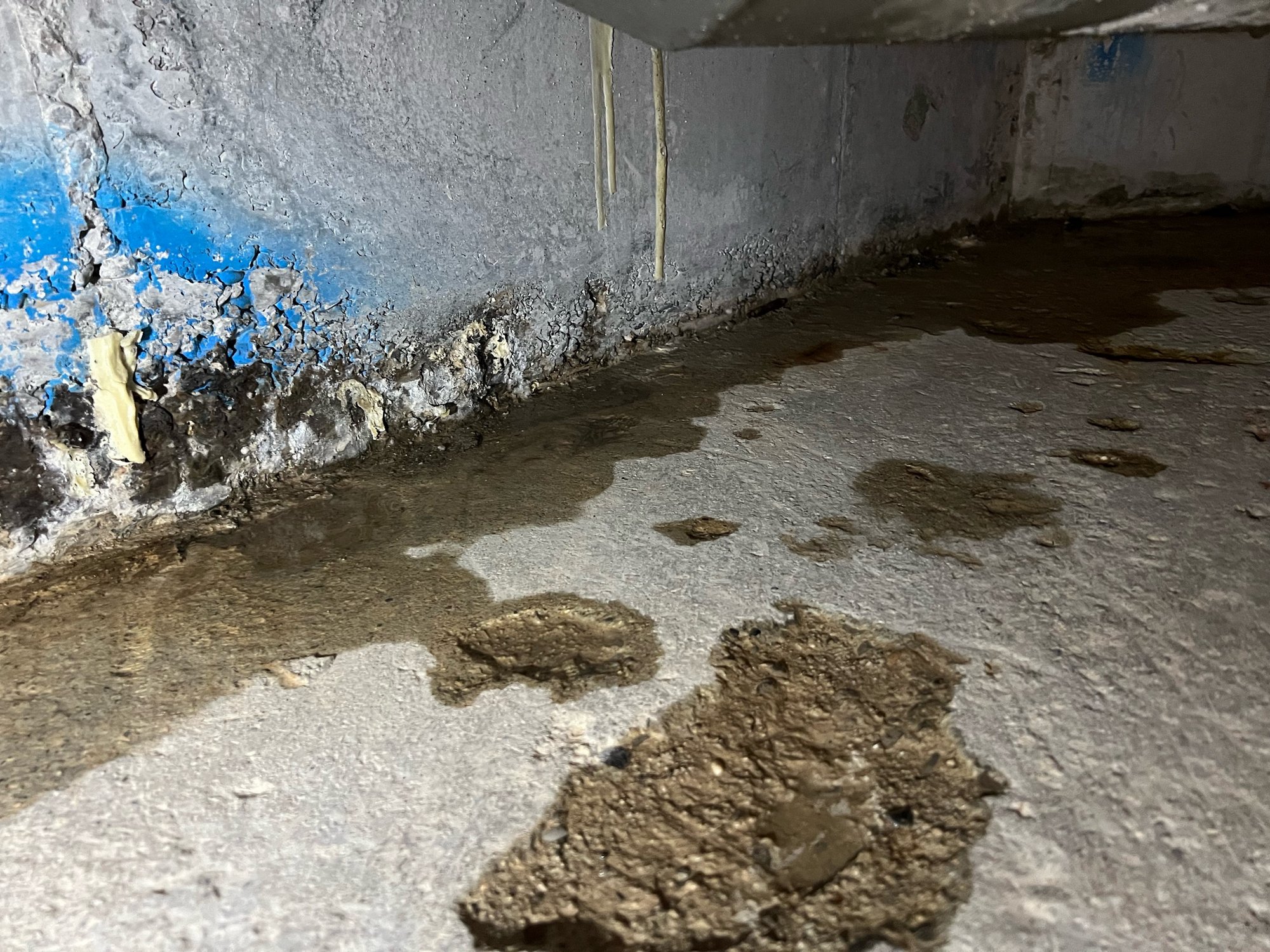Feuchte Stelle am Boden neben abplatzender Beschichtung an Kellerwand, Nahaufnahme