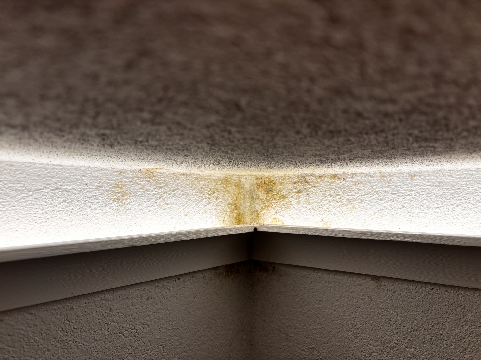 Gelbliche Flecken an Raumecke unter Deckenleiste