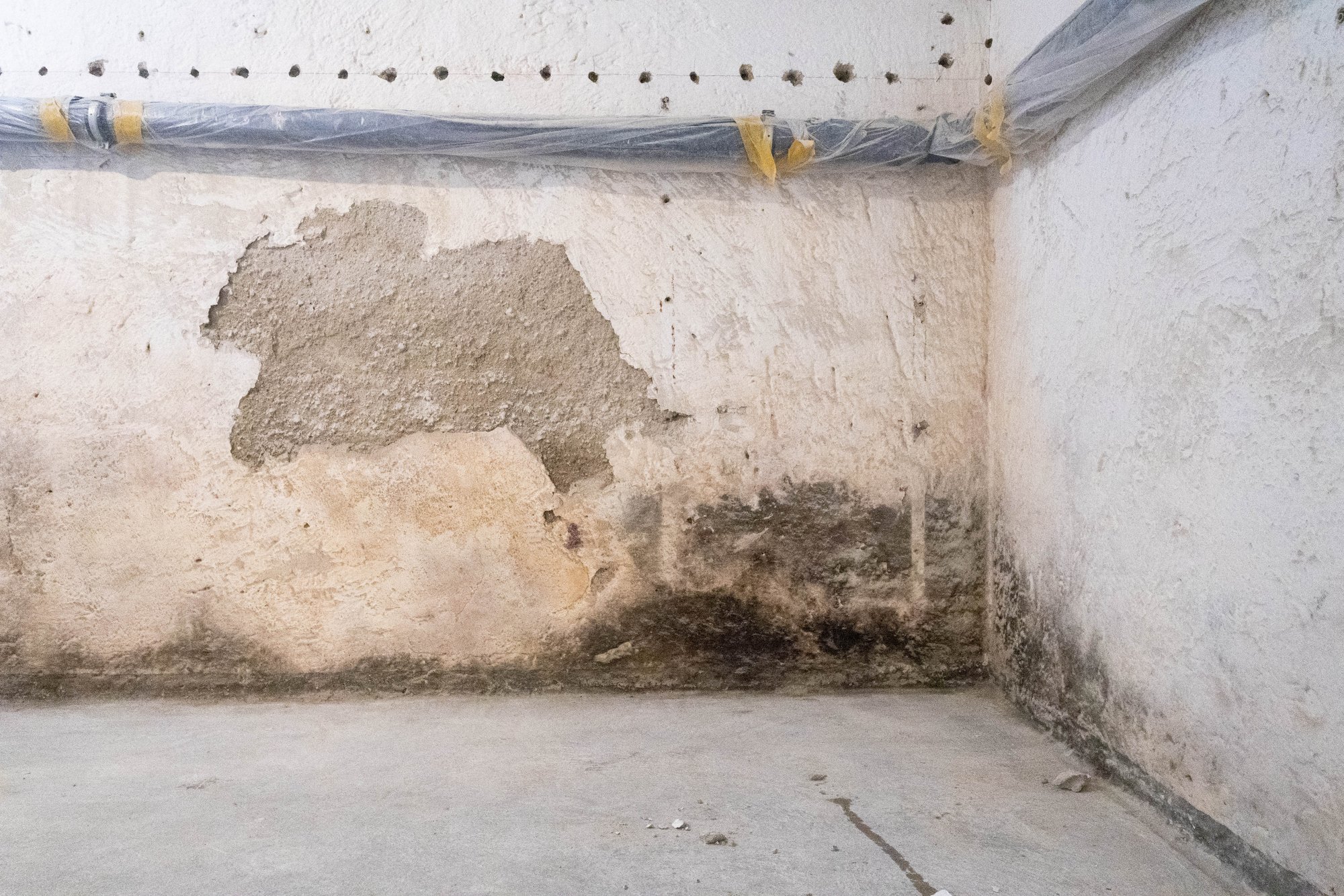 Feuchte Kellerwand mit Bohrlöchern, abgeplatzter Beschichtung und dunklen Flecken