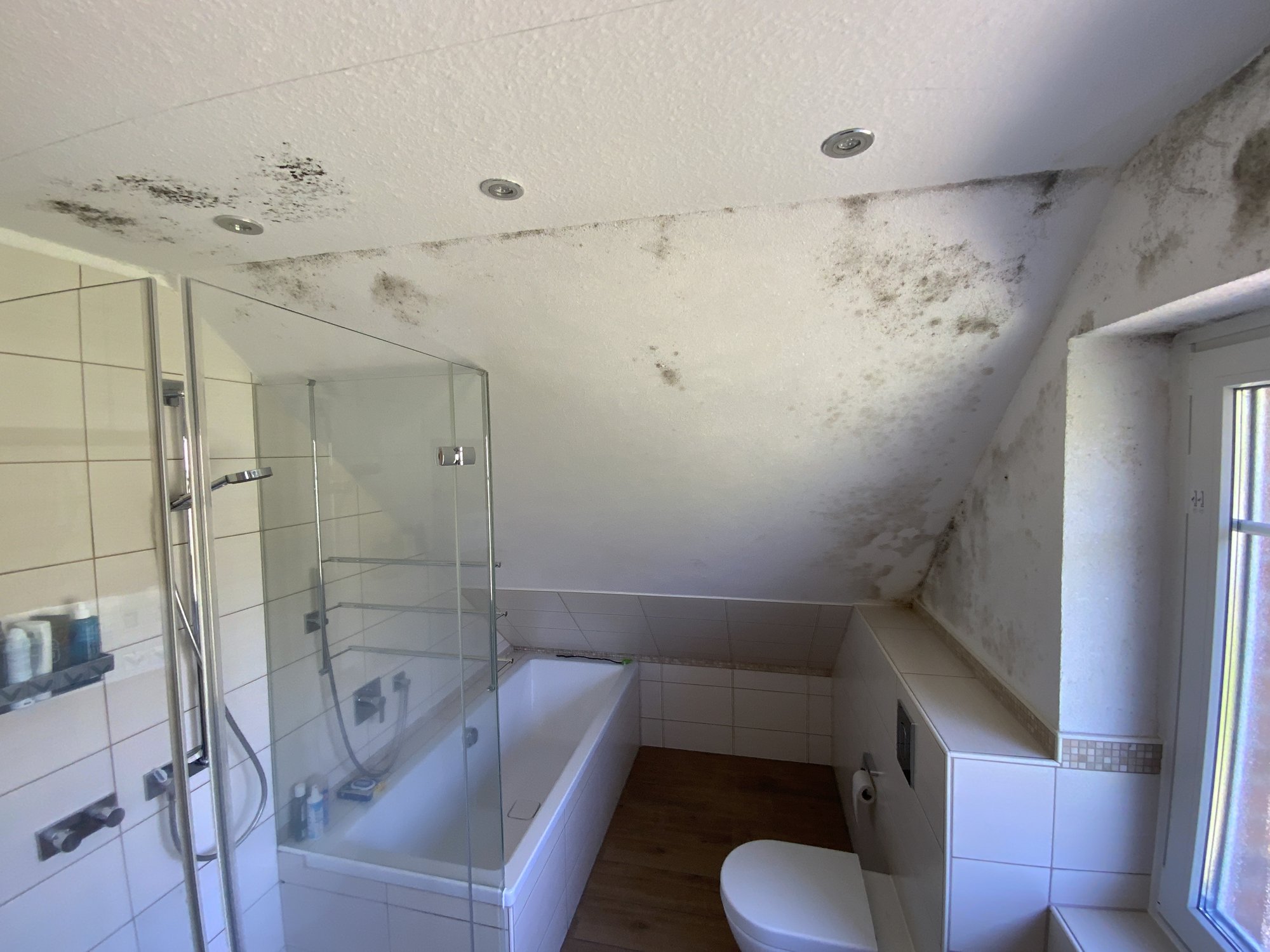 Schimmelbefall an Dachschräge und Decke im Badezimmer, nahe Fenster und Badewanne