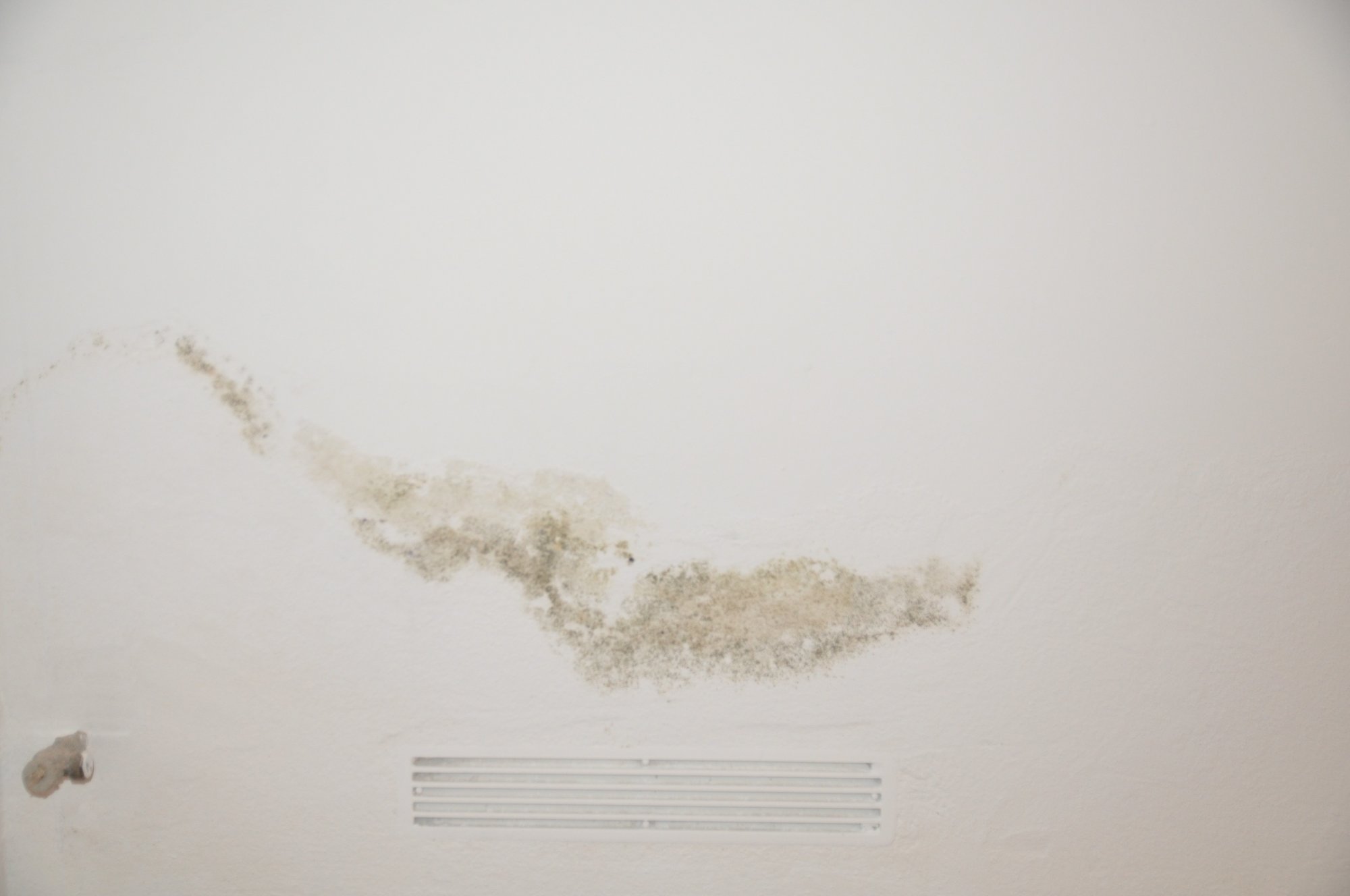 Schimmelbefall an weißer Decke über Lüftungsgitter, Flecken bandförmig.