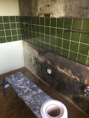 verschimmelte Wand in der Küche Der Schimmelpilz hat sich über die komplette Wand ausgebreitet.