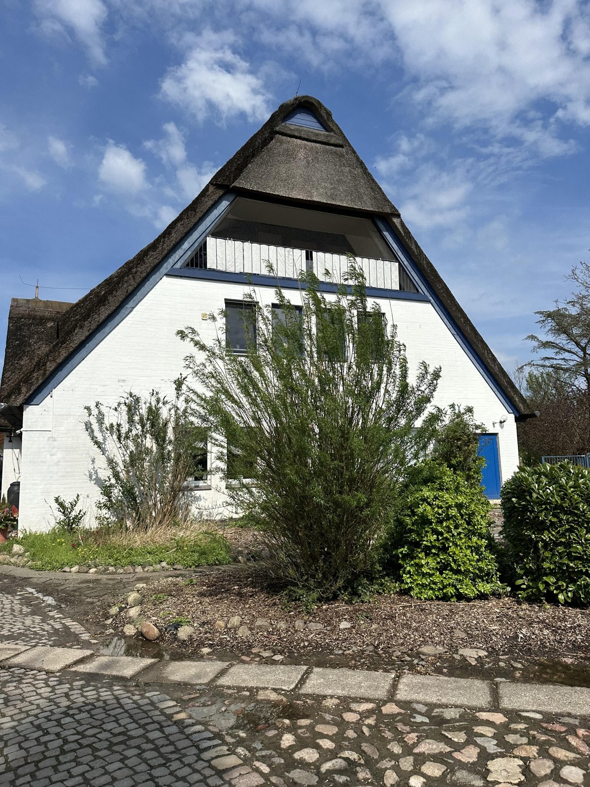 Weißes Haus mit Reetdach, blauem Türrahmen und Gartensträuchern vor wolkigem Himmel