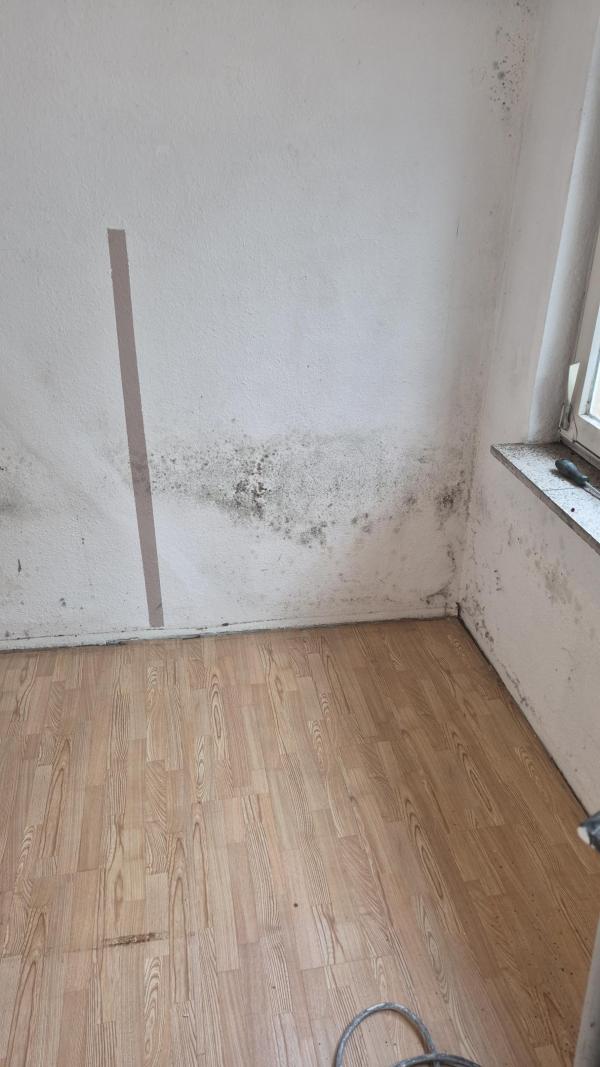 Schimmelbefall an Zimmerwand und Fensterecke über Laminatboden
