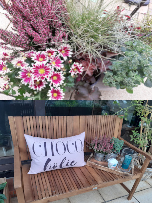 Herbstpflanzen für einen schönen Balkon Herbstpflanzen für einen schönen Balkon