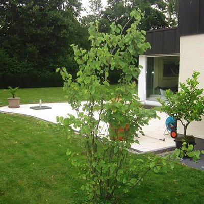 Einfamilienhaus Adelberg