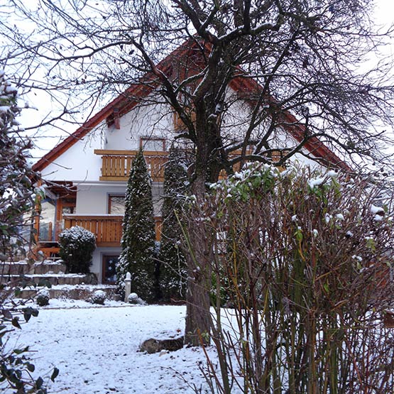 Einfamilienhaus Ulm